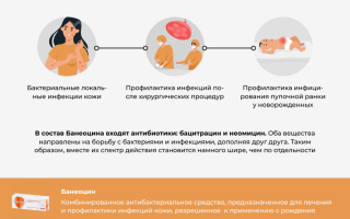 Инструкция по применению антибактериальной мази Банеоцин