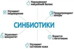 Симбиотики: понятие, список препаратов и продуктов