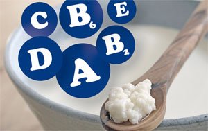 Состав однодневного кефира